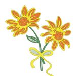 18513600_168007360396507_5217911143200194560_a